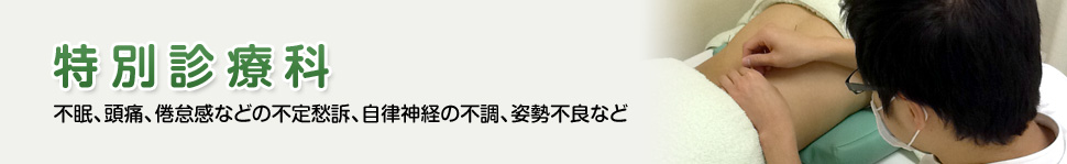 【特別診療科】不眠、頭痛、倦怠感などの不定愁訴、自律神経の不調、姿勢不良など